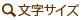 文字サイズ